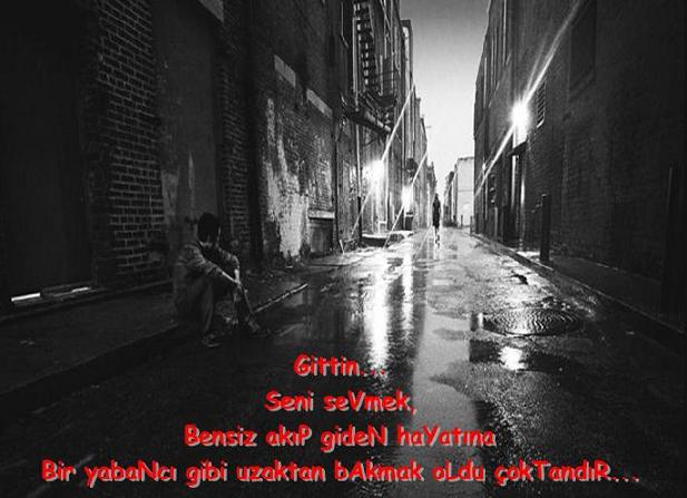 sitemli_resimler_ (2).JPG-130.jpg